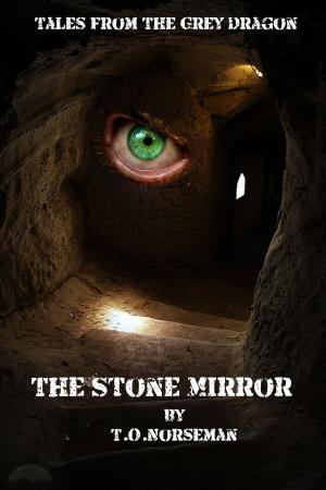 Cover of the book The Stone Mirror by John Abramowitz