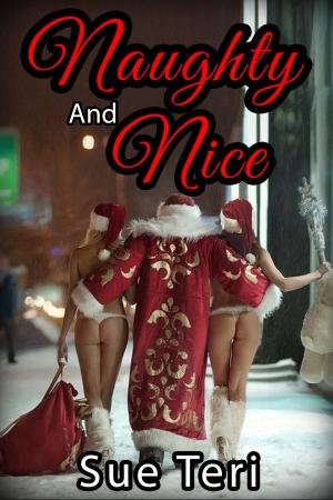 Cover of the book Naughty And Nice by Sue Teri, Kyle Canon