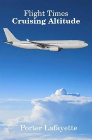 Book cover of Flight Times: Cruising Altitude