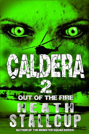 Cover of the book Caldera Book 2: Out Of The Fire by Dave Heron