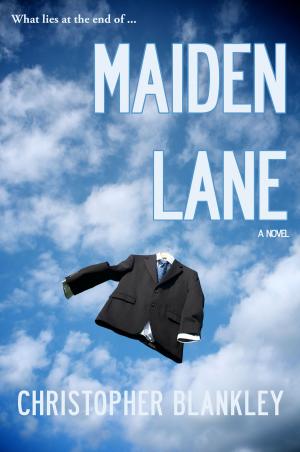 Cover of the book Maiden Lane by Thom Whalen