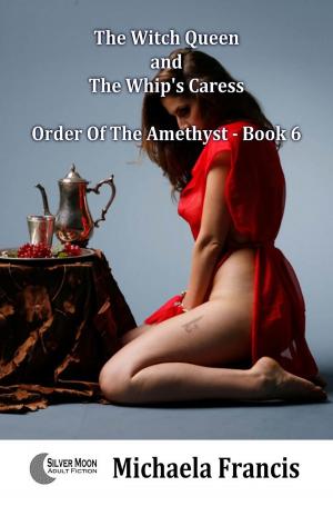 bigCover of the book The Witch Queen And The Whip's Caress (Order Of The Amethyst Book 6) by 