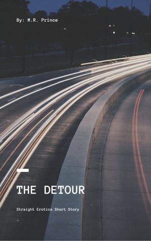 Cover of the book The Detour by Isla Sinclair, Jesse DeMarque