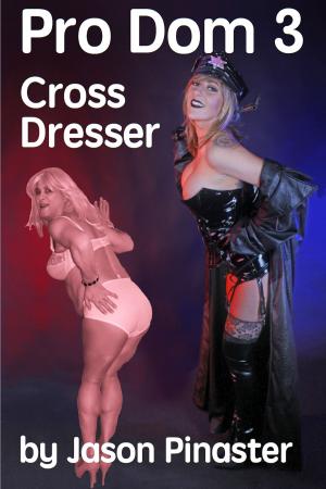 Cover of the book Pro Dom 3 Cross Dresser by Naughty Nina