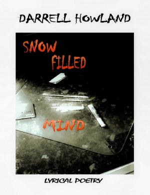Cover of the book Snow Filled Mind by 