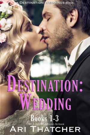 Cover of the book Destination Weddings by Ari Thatcher