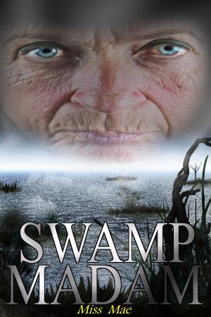 Cover of the book Swamp Madam by Adam Millard