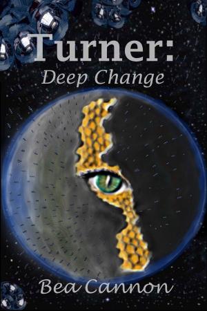 Cover of the book Turner: Deep Change by Jamie Thornton