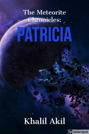 Book cover of The Meteorite Chronicles: Patricia