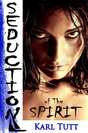 bigCover of the book Seduction of the Spirit by 