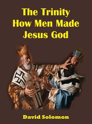 Cover of the book The Trinity: How Men Made Jesus God by Michael Dunhill
