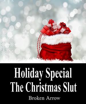 Cover of the book Holiday Special: The Christmas Slut by Peter Darlington
