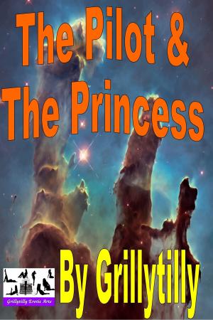Cover of the book The Pilot and The Princess by Emma Darcy