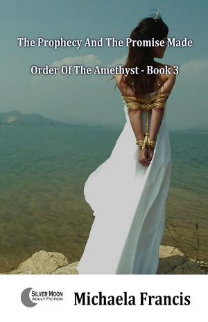 Cover of The Prophecy And The Promise Made (Order Of The Amethyst Book 3)