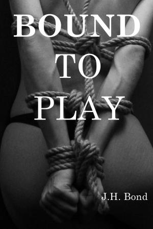 Book cover of Bound To Play