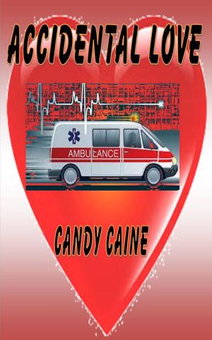 Cover of the book Accidental Love by Candy Caine