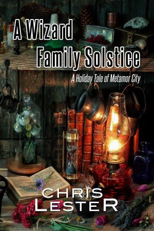 Book cover of A Wizard Family Solstice