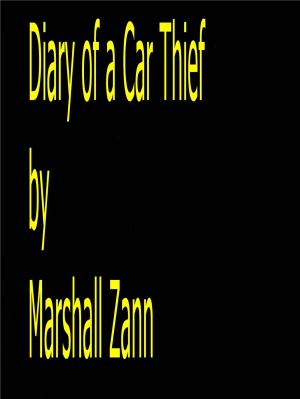 Cover of the book Diary of a Car Thief by Denise Morgan