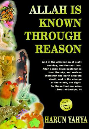 Book cover of Allah Is Known Through Reason