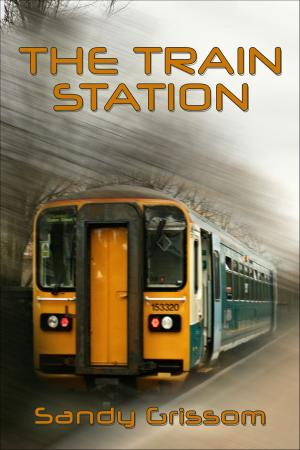 Book cover of The Train Station