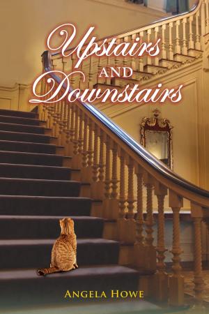 Cover of the book Upstairs And Downstairs by Pamela Barnum