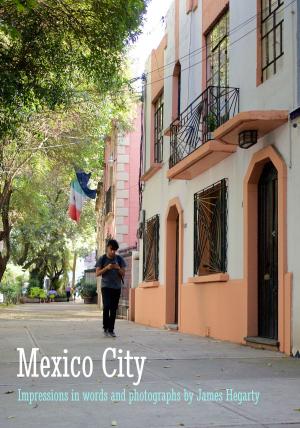 Cover of the book Mexico City: Impressions in Words and Photographs by Brian Burke