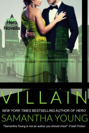 Cover of the book Villain by Robin Shaw