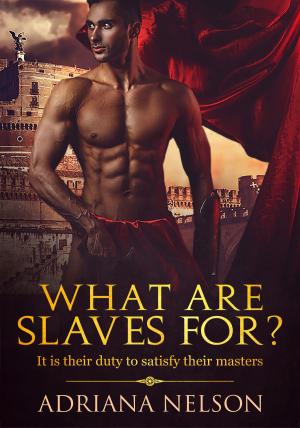 Cover of the book What Are Slaves For? by Ian Cadena