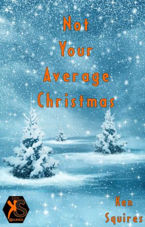 bigCover of the book Not Your Average Christmas by 