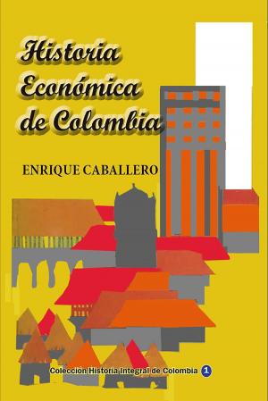 Cover of the book Historia Económica de Colombia by Luis Alberto Villamarin Pulido