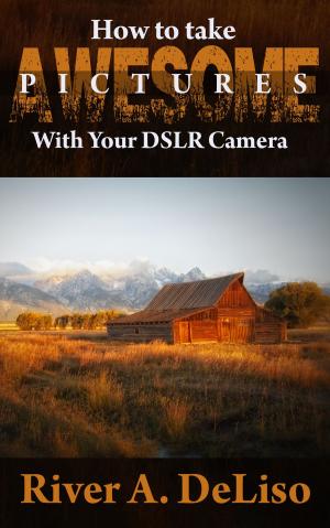 Cover of the book How to Take Awesome Photographs with Your DSLR Camera by Lydia Institute