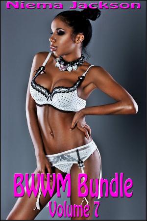 Cover of the book BWWM Bundle - Volume 7 (Interracial Romance BWWM) by Niema Jackson
