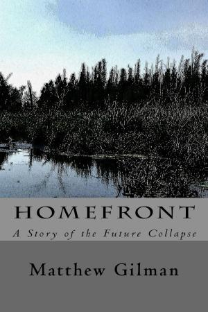 Cover of the book Homefront by Benson Grayson
