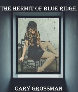 Cover of the book The Hermit of Blue Ridge by Stephen B5 Jones