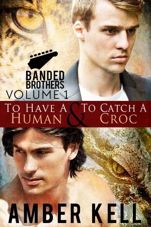 bigCover of the book Banded Brothers, Volume 1 by 