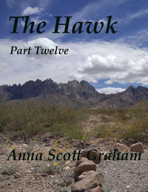 Cover of The Hawk: Part Twelve