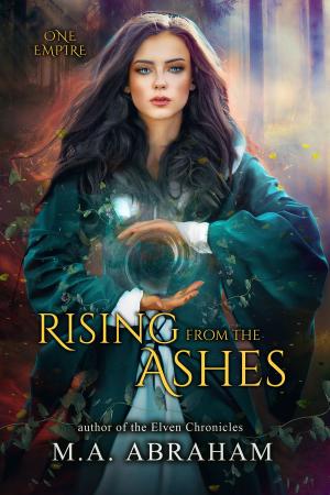 Book cover of Rising from the Ashes