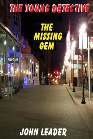 Cover of The Young Detective: The Missing Gem