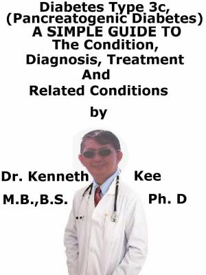Book cover of Diabetes Mellitus Type 3c, (Pancreatogenic Diabetes) A Simple Guide To The Condition, Diagnosis, Treatment And Related Conditions