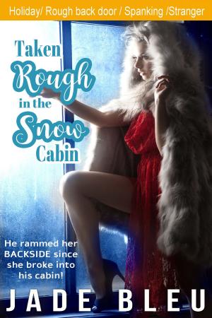 Cover of the book Taken Rough in the Snow Cabin by Jade Bleu