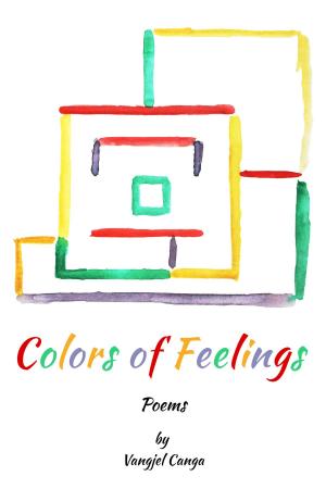 Book cover of Colors of Feelings