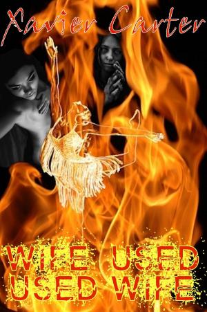 Cover of the book Wife Used...Used Wife by Xavier Carter