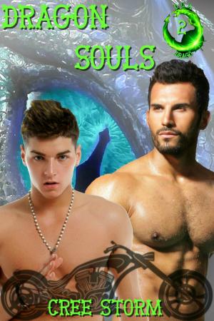 Cover of the book Dragon Souls D.O.A. 2 by Cree Storm