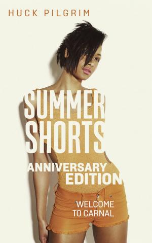 Cover of the book Summer Shorts: Anniversary Edition by Huck Pilgrim