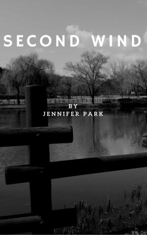 Cover of the book Second Wind by JB Salsbury