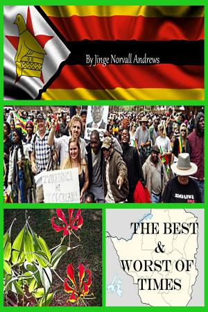 Cover of the book The Best And Worst Of Times by Mra Hninzi
