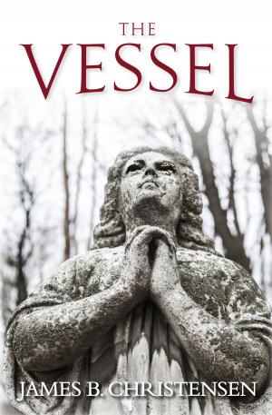 Cover of the book The Vessel by Brandon Sanderson