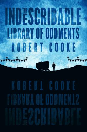 Book cover of The Indescribable Library Of Oddments
