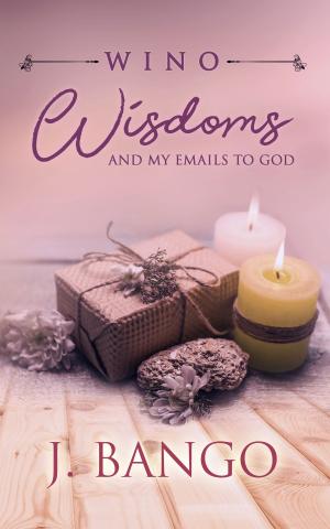 bigCover of the book Wino Wisdoms and My Emails to God by 