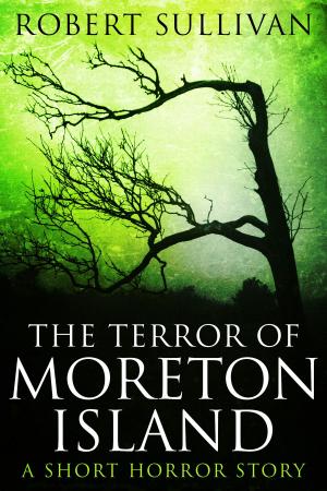 Book cover of The Terror of Moreton Island